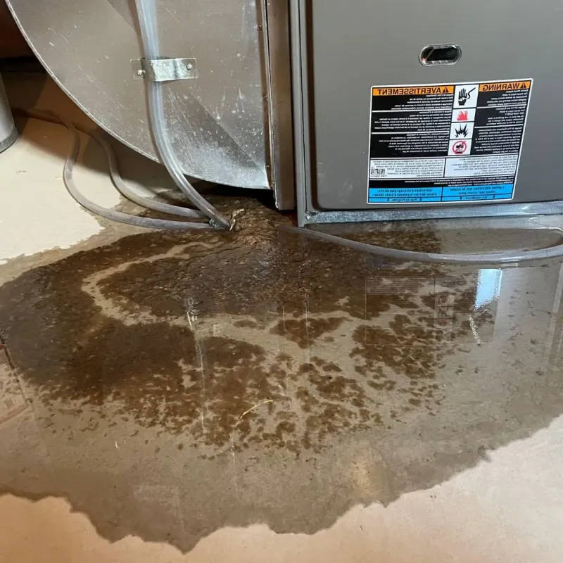 Pipe Burst and Leak Restoration in Brush, CO