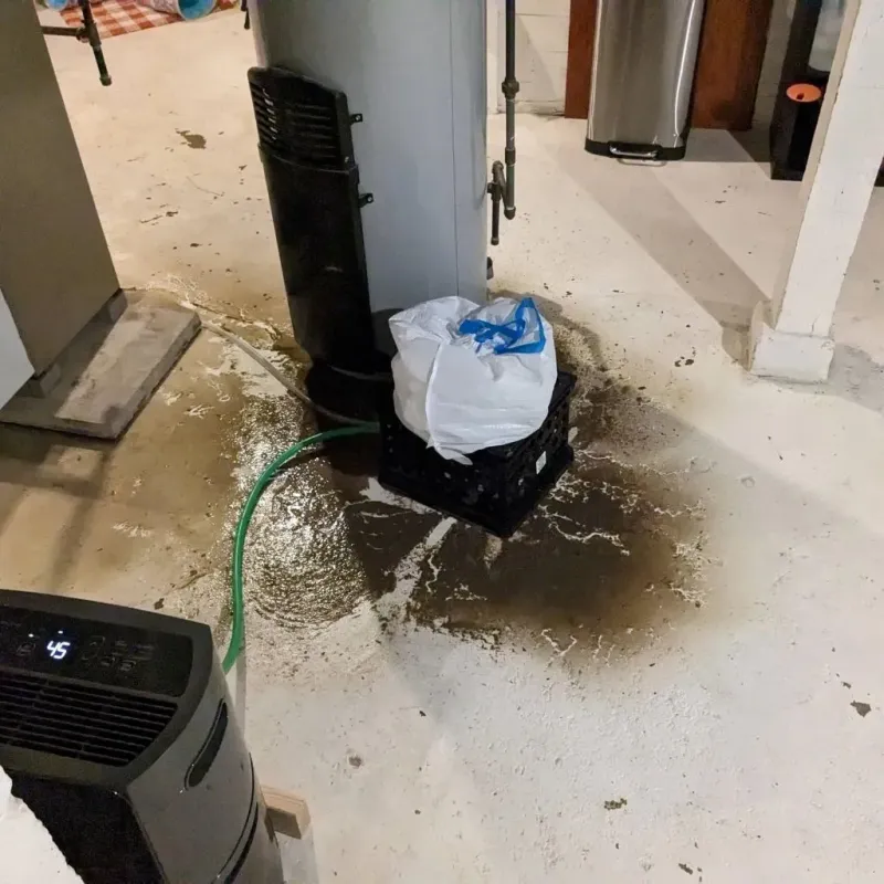 Sewage Backup Cleanup Service in Brush, CO